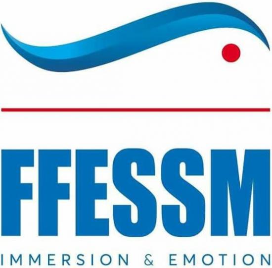 Logo ffessm