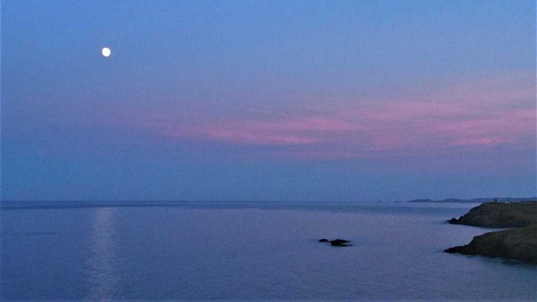 DSC_5069 (2)