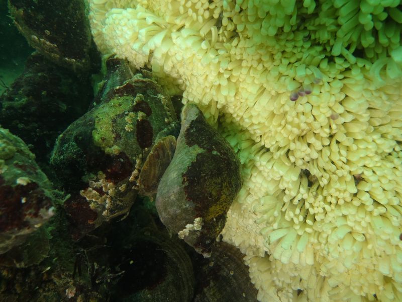 DSC00501