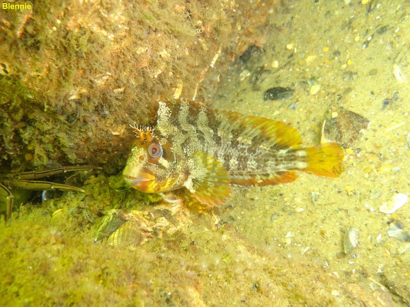 DSC00549