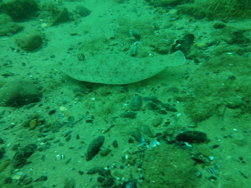 DSC00881