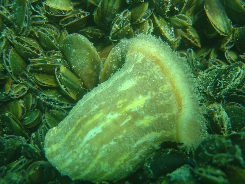 DSC06427