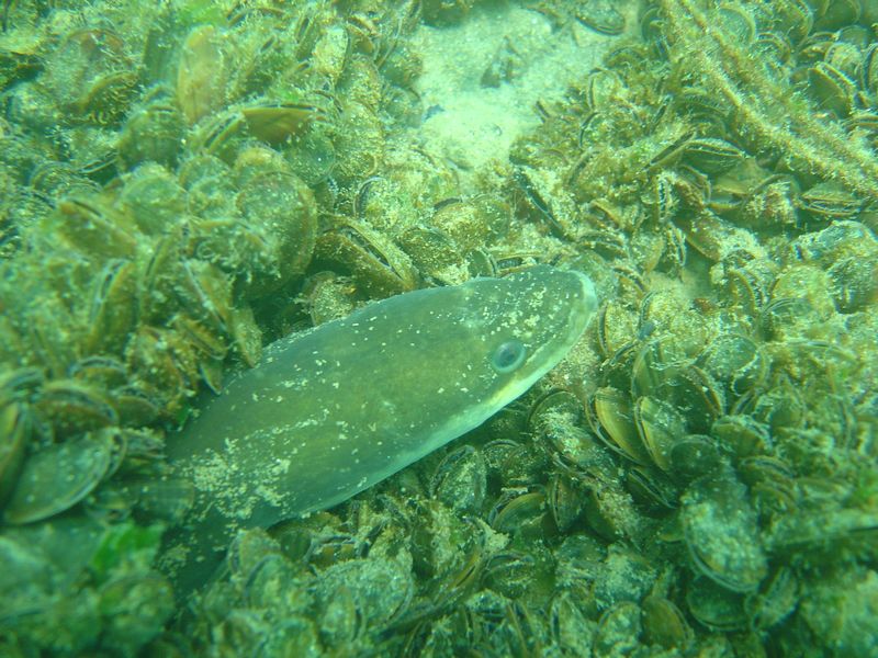 DSC06436