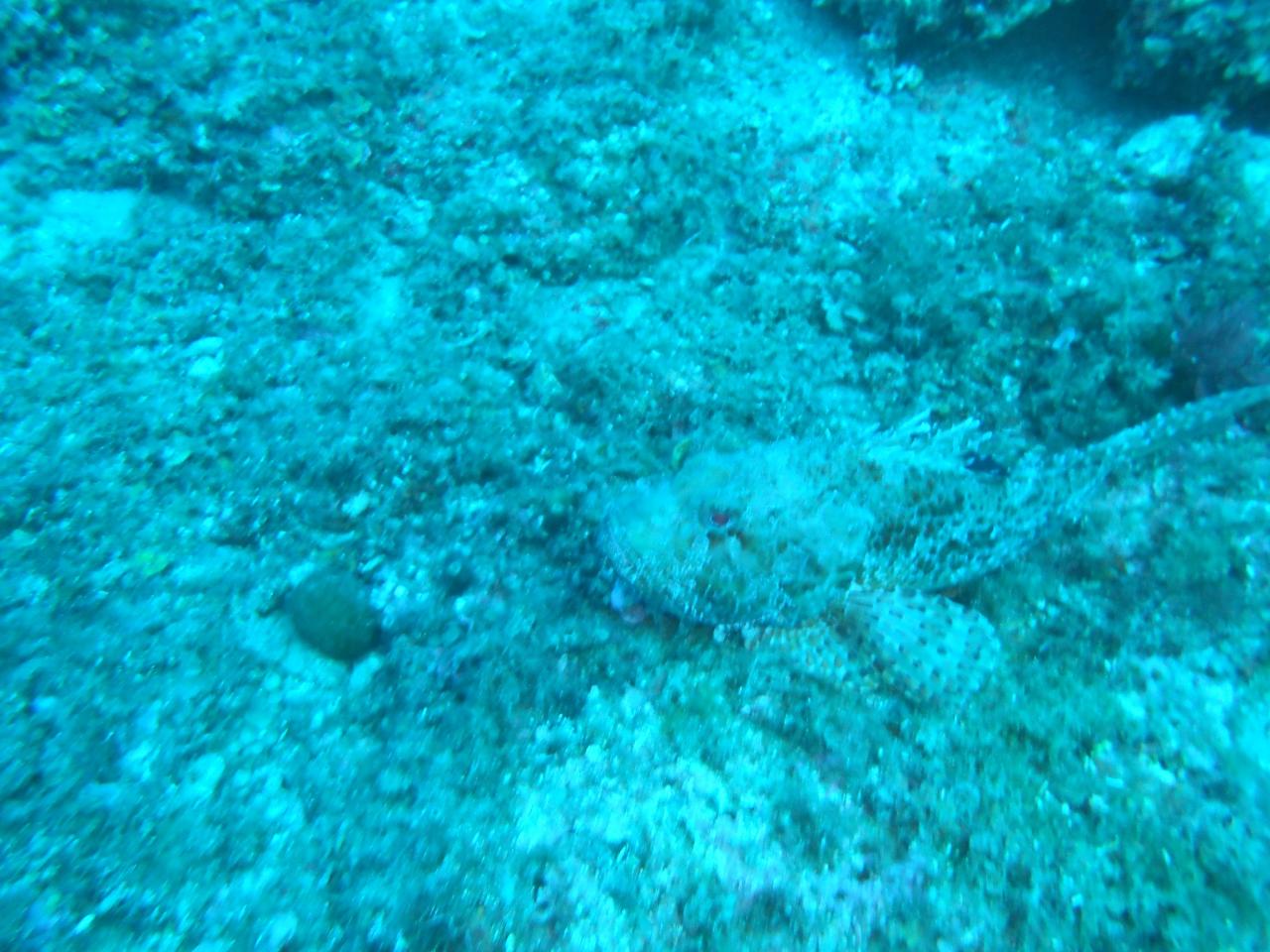 DSCN0629