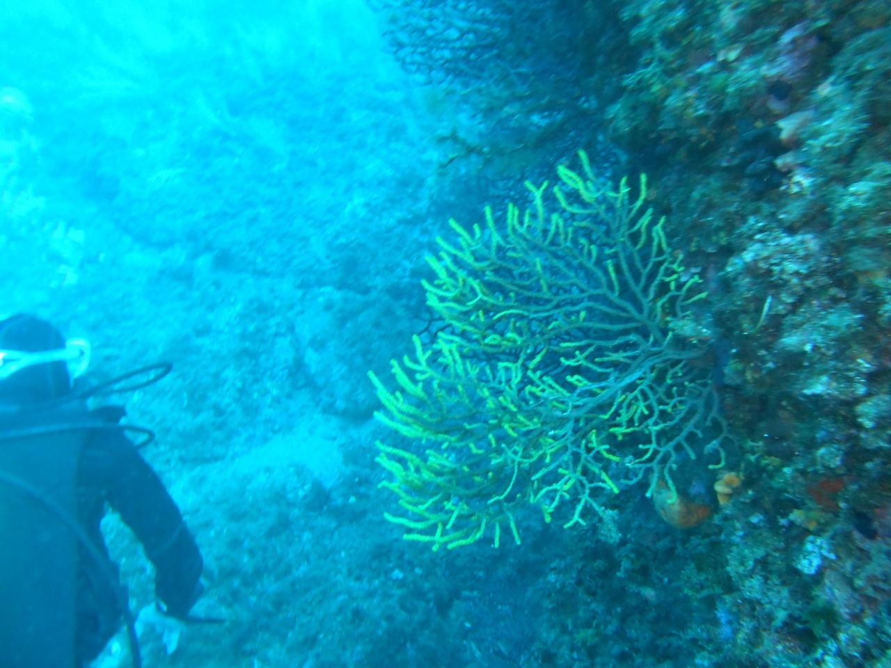 DSCN0658