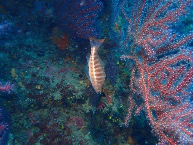 P6180069