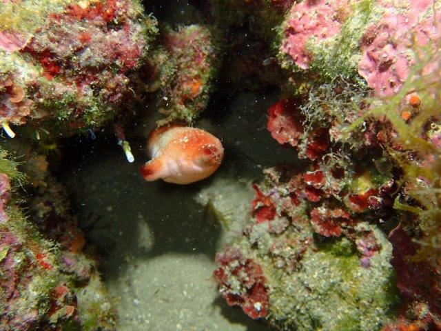 P6180071