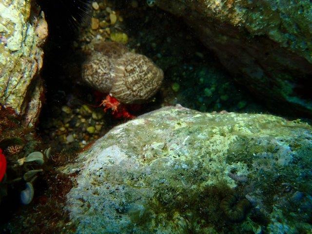 P6190034