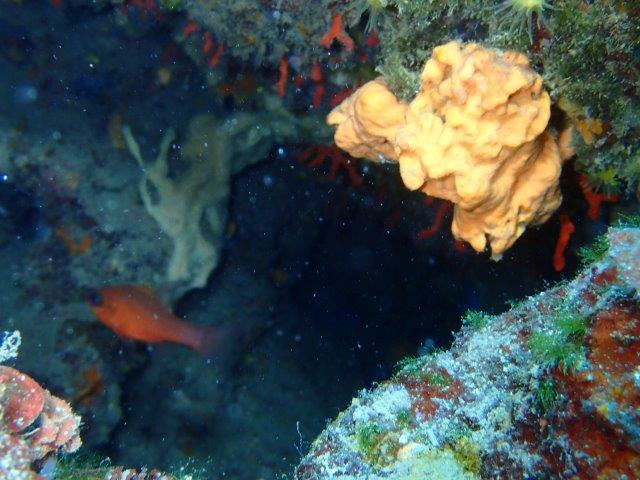 P6190064