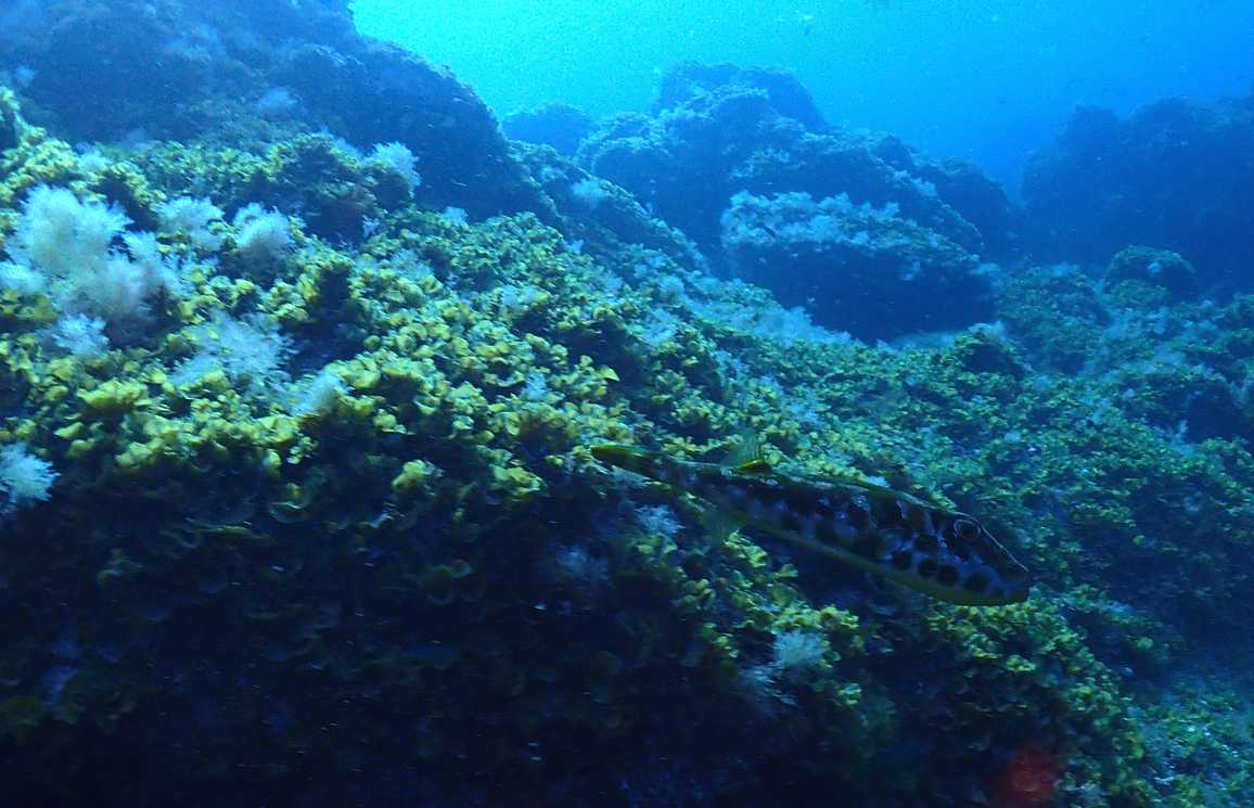 PA180345