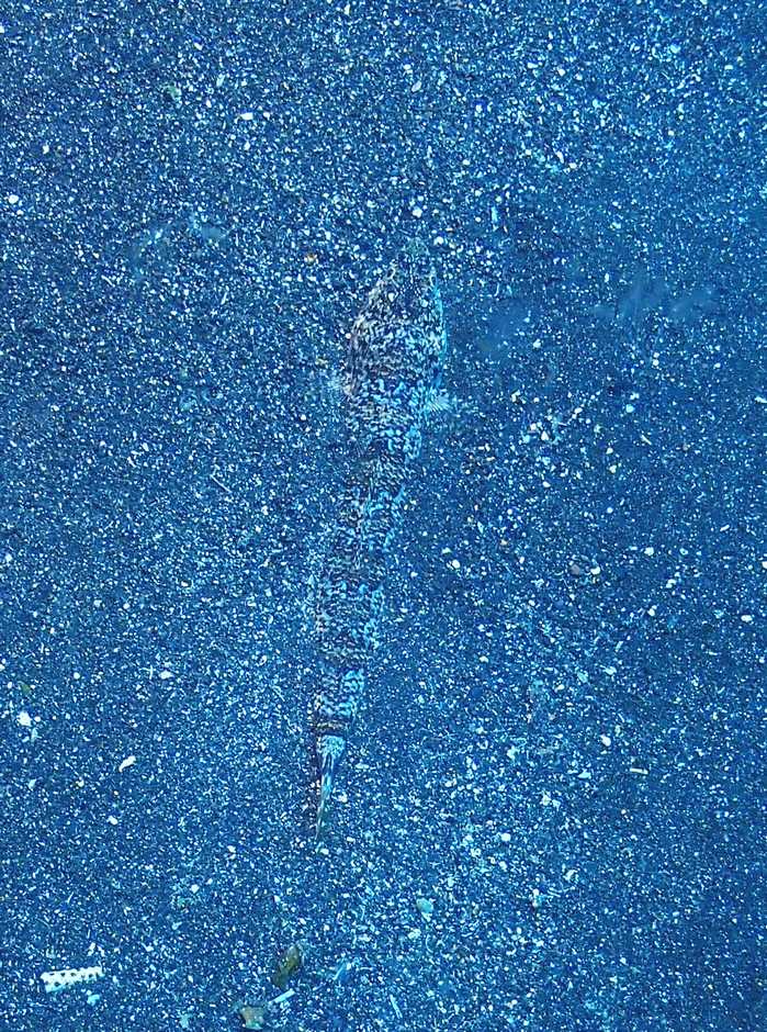 PA180376