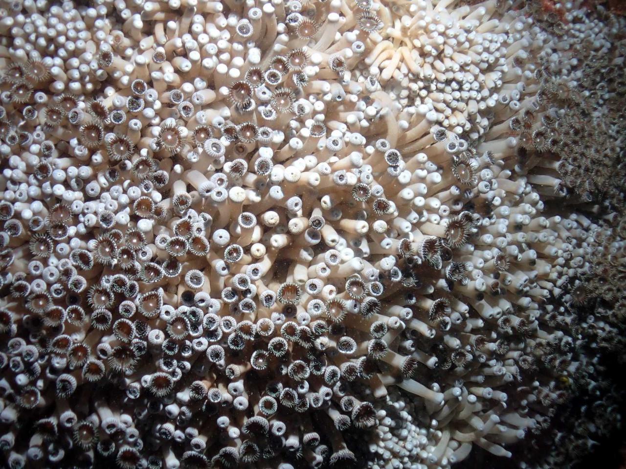 PA190558