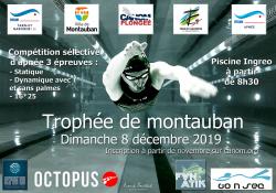 Affiche Montauban 2019