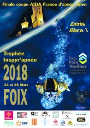 Affiche Foix