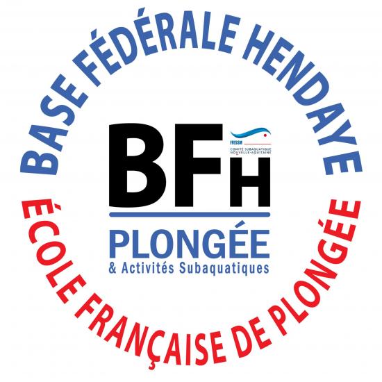 Logo bfh